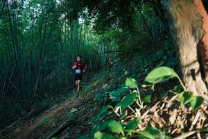 BIB: 
                            <button type="button" onclick="openModal(28124626)" class="btn btn-primary btn-sm float-right btn-popup" data-toggle="modal" data-target=".modal-high-quality">
                        <i class="fas fa-shopping-cart"></i> Add to Cart
                    </button>
                                            <button type="button" onclick="isThisMe(28124626, true)" class="btn btn-success btn-sm float-right btn-popup btn-isme hidden" data-toggle="tooltip" data-placement="bottom" title="นี่คือรูปของคุณใช่ไหม คลิกที่นี่เพื่อเอาเข้าอัลบั้ม">
                        <i class="fas fa-plus"></i> Add to album
                    </button>
                    <button type="button" onclick="isThisMe(28124626, false)" class="btn btn-warning btn-sm float-right btn-popup btn-isnotme hidden">
                        <i class="fas fa-ban"></i> Remove from album
                    </button>